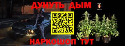 спиды Лениногорск