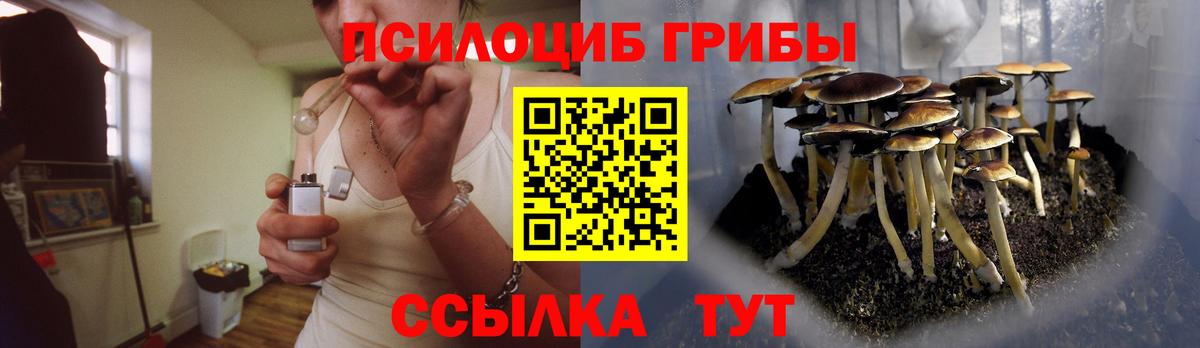 как найти закладки  Галлюциногенные грибы Psilocybe  Вход с VPN  Елец 